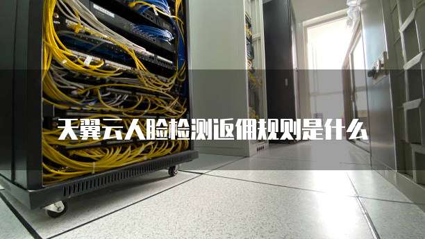 天翼云人脸检测返佣规则是什么