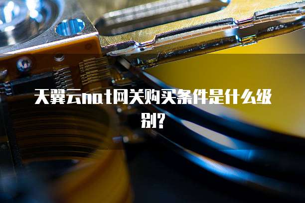 天翼云nat网关购买条件是什么级别?