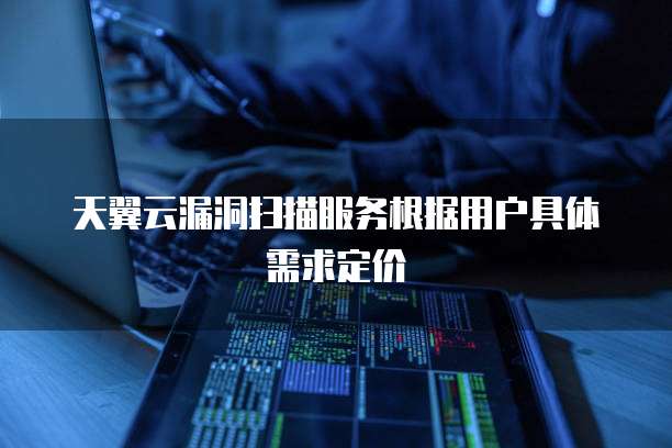 天翼云漏洞扫描服务根据用户具体需求定价