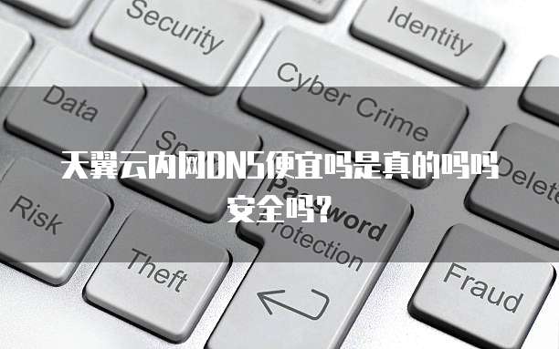 天翼云内网DNS便宜吗是真的吗吗安全吗?