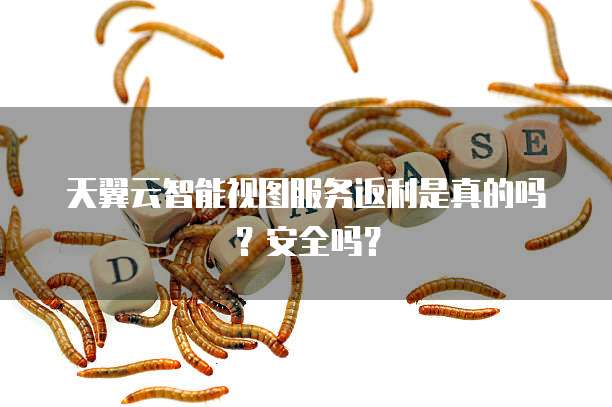 天翼云智能视图服务返利是真的吗?安全吗?