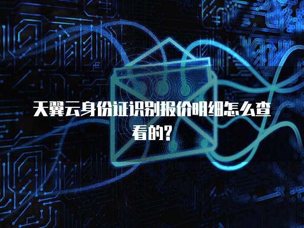 天翼云身份证识别报价明细怎么查看的?
