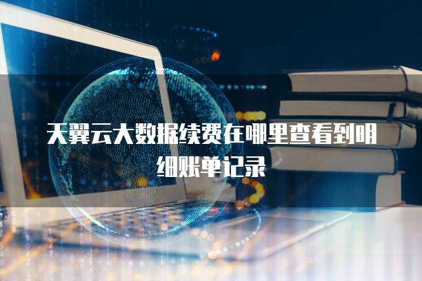 天翼云大数据续费在哪里查看到明细账单记录