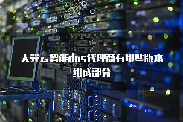 天翼云智能dns代理商有哪些版本组成部分