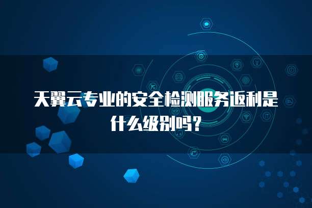 天翼云专业的安全检测服务返利是什么级别吗？