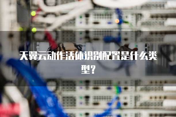 天翼云动作活体识别配置是什么类型?