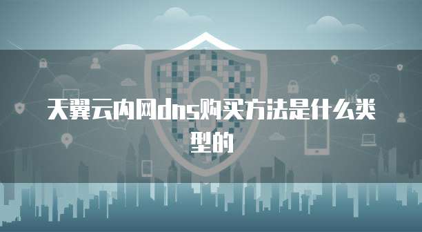 天翼云内网dns购买方法是什么类型的