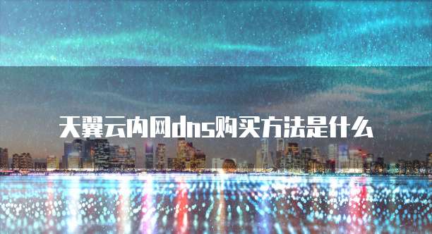 天翼云内网dns购买方法是什么