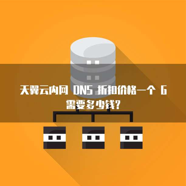 天翼云内网 DNS 折扣价格一个 G 需要多少钱？