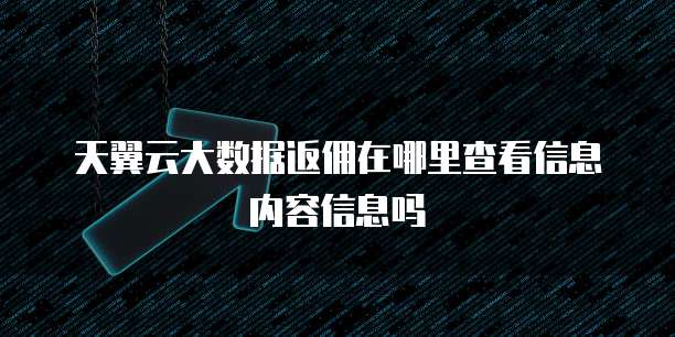 天翼云大数据返佣在哪里查看信息内容信息吗