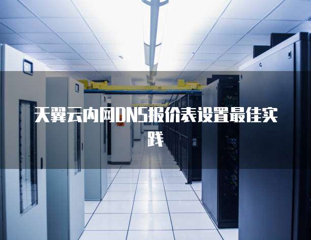 天翼云内网DNS报价表设置最佳实践