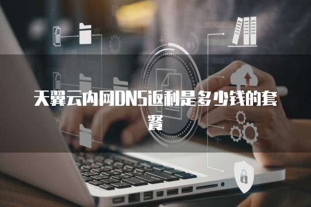 天翼云内网DNS返利是多少钱的套餐
