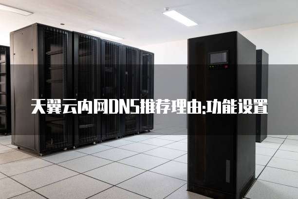天翼云内网DNS推荐理由:功能设置
