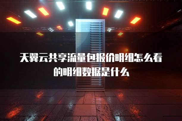 天翼云共享流量包报价明细怎么看的明细数据是什么