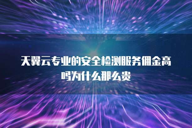 天翼云专业的安全检测服务佣金高吗为什么那么贵