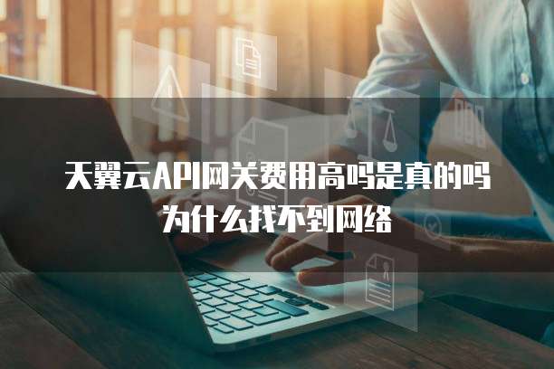 天翼云API网关费用高吗是真的吗为什么找不到网络