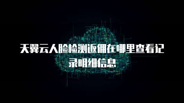 天翼云人脸检测返佣在哪里查看记录明细信息