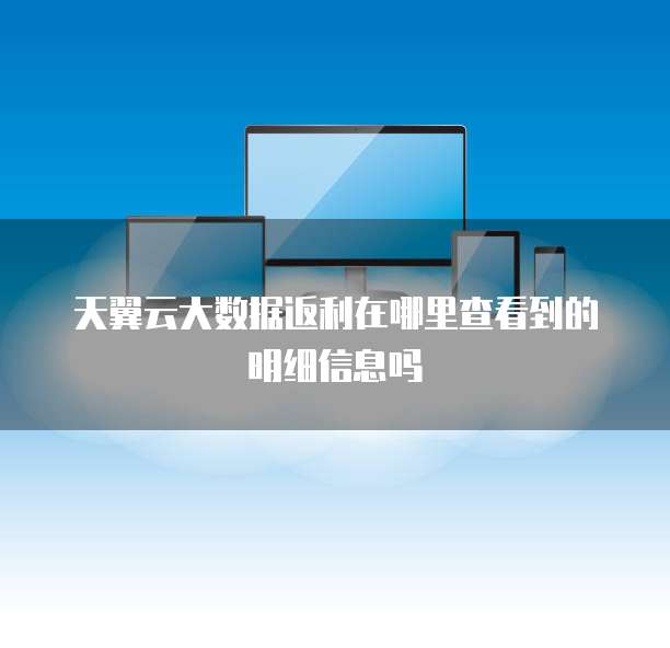 天翼云大数据返利在哪里查看到的明细信息吗