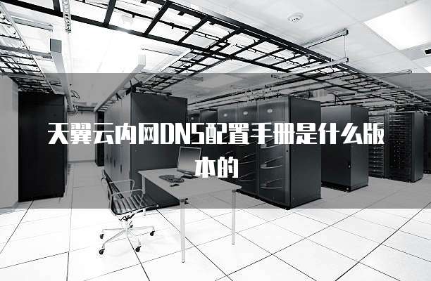 天翼云内网DNS配置手册是什么版本的