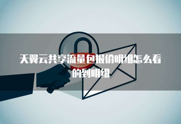 天翼云共享流量包报价明细怎么看的到明细