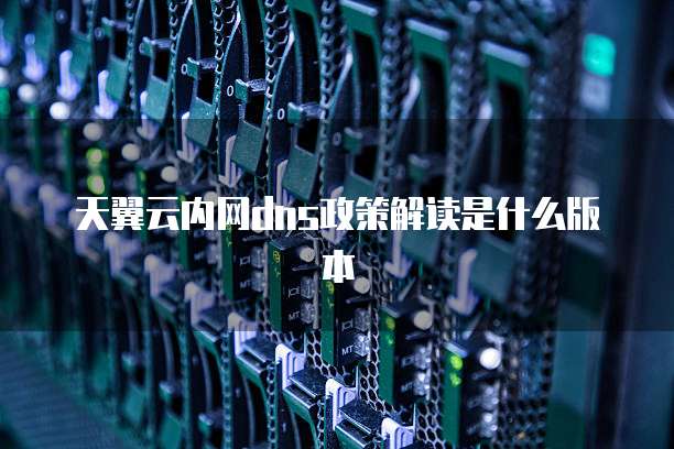 天翼云内网dns政策解读是什么版本