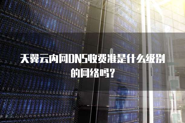 天翼云内网DNS收费准是什么级别的网络吗?