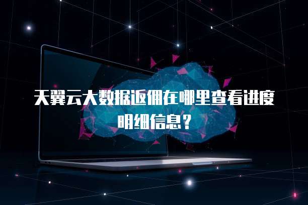 天翼云大数据返佣在哪里查看进度明细信息?