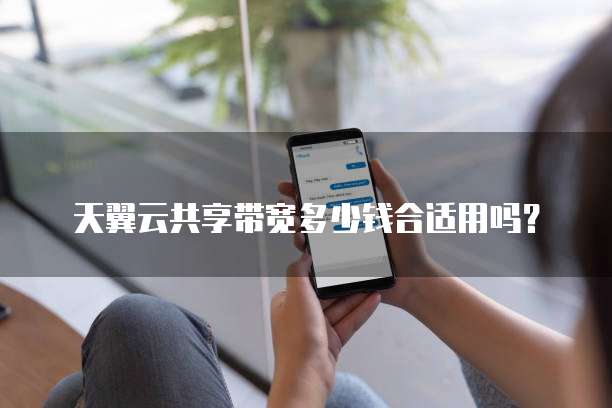 天翼云共享带宽多少钱合适用吗?