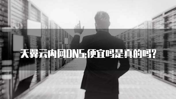 天翼云内网DNS:便宜吗是真的吗?