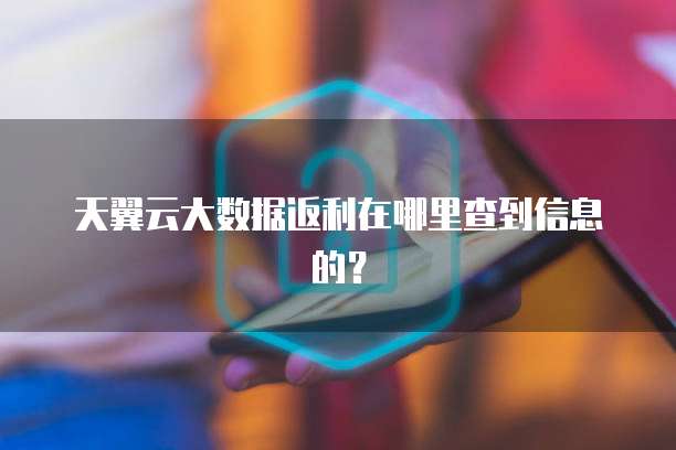 天翼云大数据返利在哪里查到信息的?