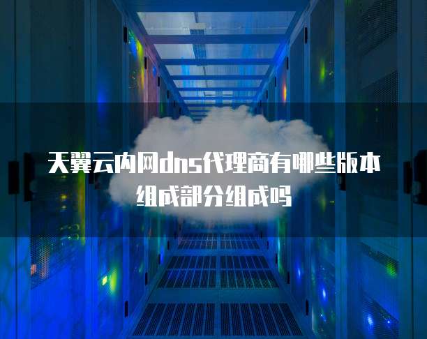 天翼云内网dns代理商有哪些版本组成部分组成吗