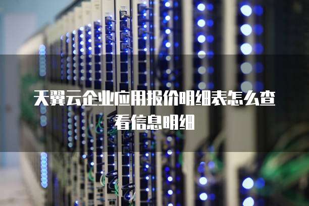 天翼云企业应用报价明细表怎么查看信息明细