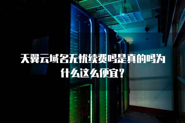 天翼云域名无忧续费吗是真的吗为什么这么便宜？