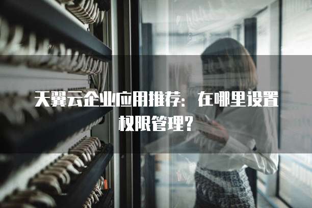 天翼云企业应用推荐:在哪里设置权限管理?