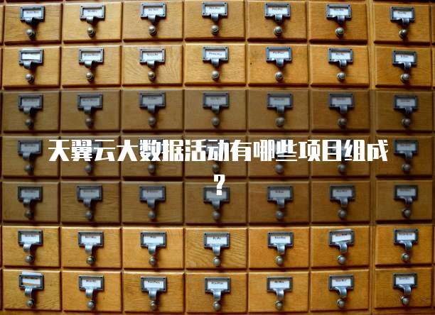 天翼云大数据活动有哪些项目组成?