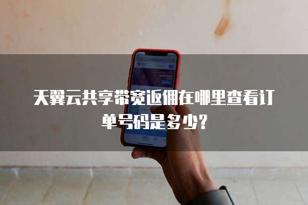 天翼云共享带宽返佣在哪里查看订单号码是多少？