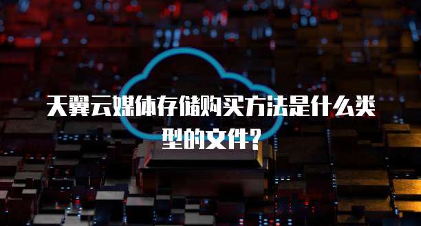 天翼云媒体存储购买方法是什么类型的文件?