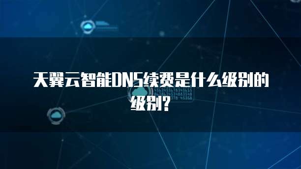 天翼云智能DNS续费是什么级别的级别?