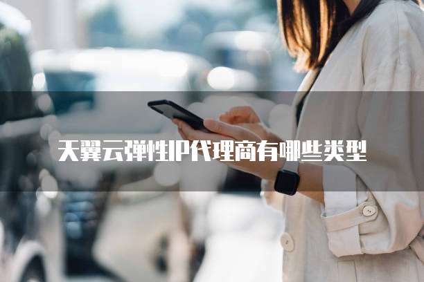 天翼云弹性IP代理商有哪些类型