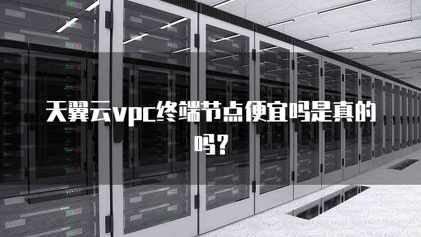 天翼云vpc终端节点便宜吗是真的吗?