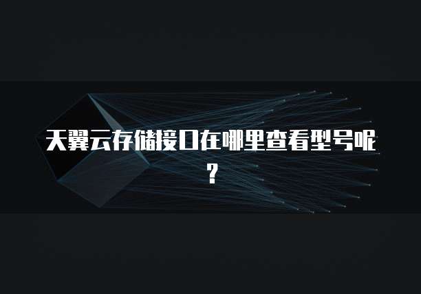 天翼云存储接口在哪里查看型号呢?
