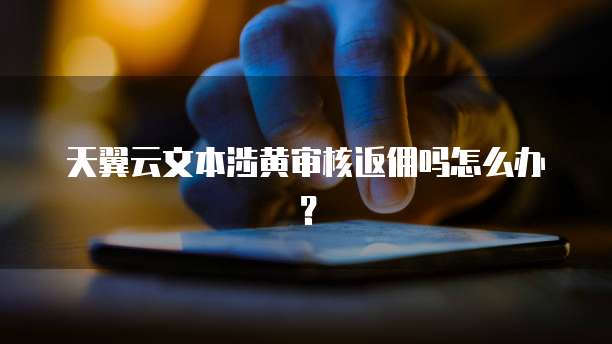 天翼云文本涉黄审核返佣吗怎么办?