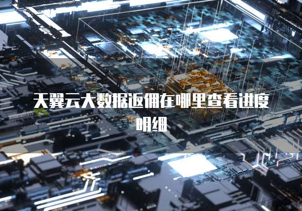 天翼云大数据返佣在哪里查看进度明细
