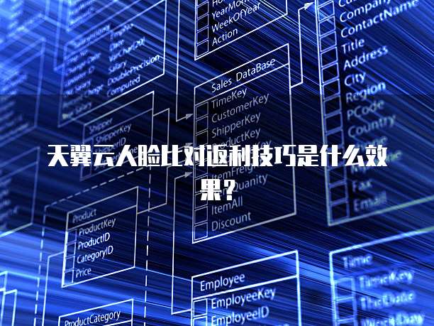 天翼云人脸比对返利技巧是什么效果?