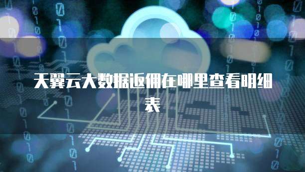天翼云大数据返佣在哪里查看明细表