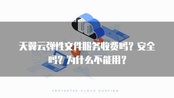 天翼云弹性文件服务收费吗?安全吗?为什么不能用?