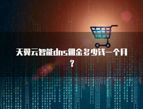 天翼云智能dns佣金多少钱一个月?