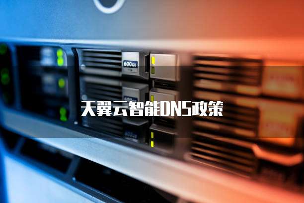 天翼云智能DNS政策