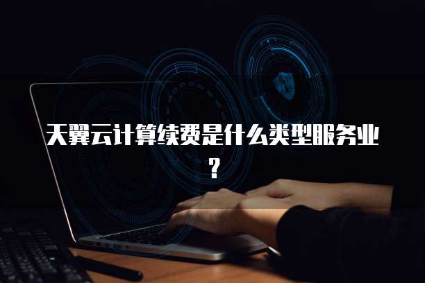 天翼云计算续费是什么类型服务业?