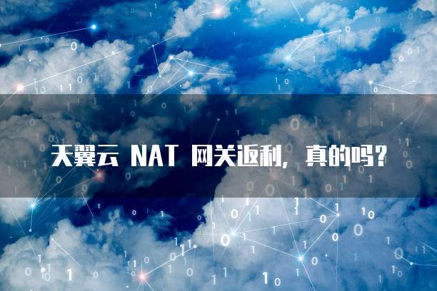 天翼云 NAT 网关返利，真的吗？